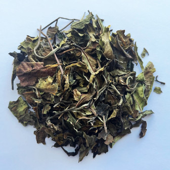 Pai Mu Tan – Thé blanc nature - En gros | Vertcitron