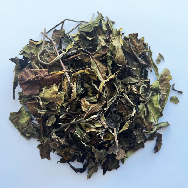 Pai Mu Tan – Thé blanc nature - En gros | Vertcitron
