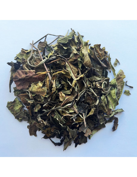 Pai Mu Tan – Thé blanc nature - En gros | Vertcitron