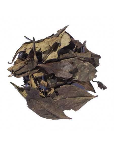 Thé noir nature |  Grand yunnan |  SARL VERT CITRON