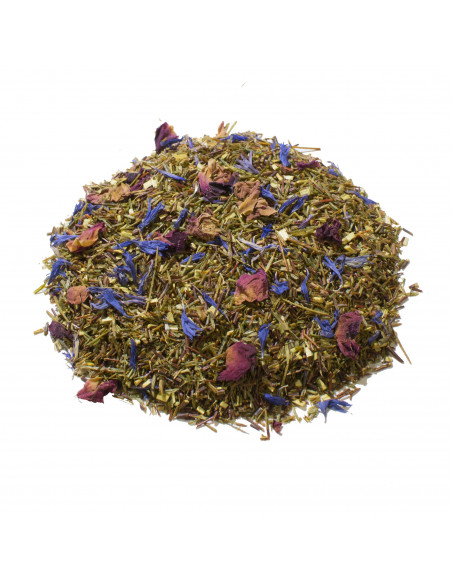 Rooibos |  Pêcher mignon |  SARL VERT CITRON