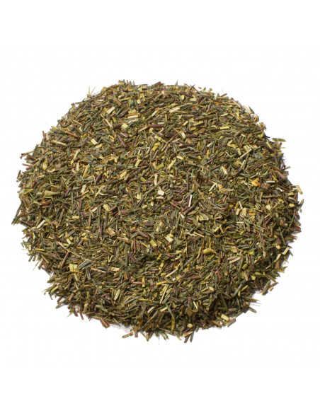 Rooibos |  Pêcher mignon |  SARL VERT CITRON