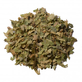 Rooibos |  Thym |  SARL VERT CITRON