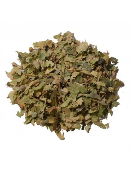 Rooibos |  Thym |  SARL VERT CITRON
