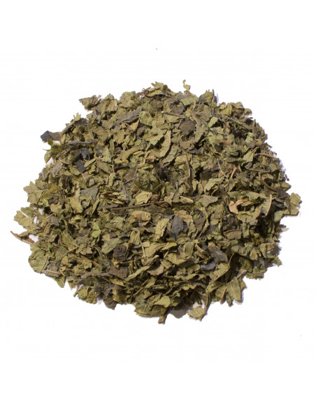 Rooibos |  Thym |  SARL VERT CITRON