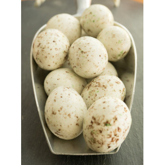 Oeuf de mouette