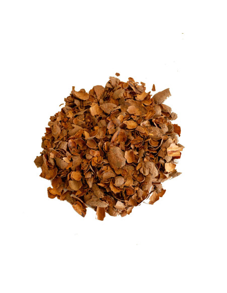 Infusion / Tisane | Infusion de Cacao |  SARL VERT CITRON