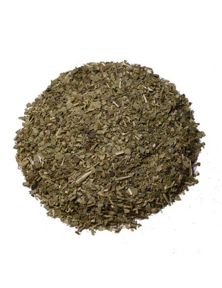 Infusion - Maté vert